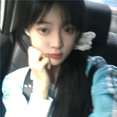 蒂科与鲨鱼